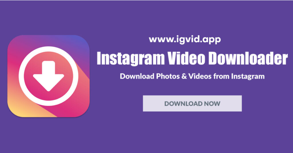 Instagram Video Download Mp4 to Mp3